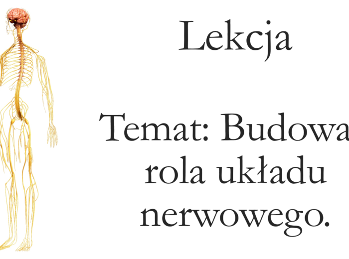 Klasa 7 - Budowa i rola układu nerwowego - prezentacja