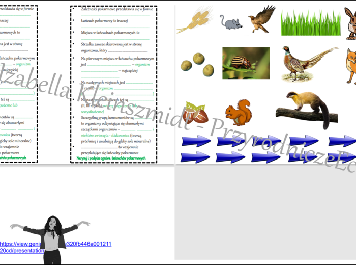 Karta pracy do tematu „Zależności pokarmowe – łańcuchy pokarmowe ” plus obrazki do zalaminowania oraz gratisowo pomysł na lekcję multimedialną z monitorem multimedialnym lub z tabletami (w formie niekomercyjnej prezentacji do edycji – krok po kroku) wyko