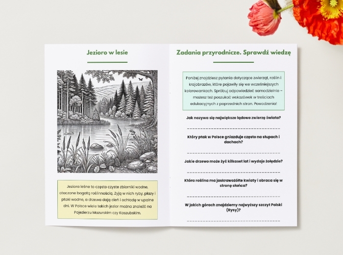Karty do kolorowania z motywami przyrodniczymi (zwierzęta, rośliny, krajobrazy).