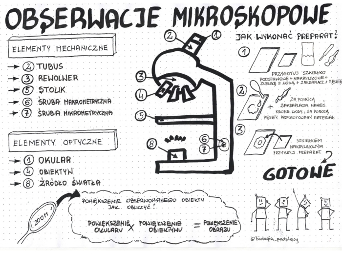 Obserwacje mikroskopowe - klasa 5 - sketchnotka