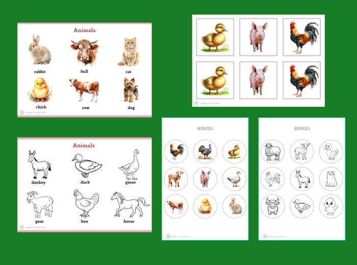 Angielski – komplet materiałów z zakresu leksykalnego ZWIERZĘTA; słowniczek, Memory, BINGO, ćwiczenia Materiał cyfrowy