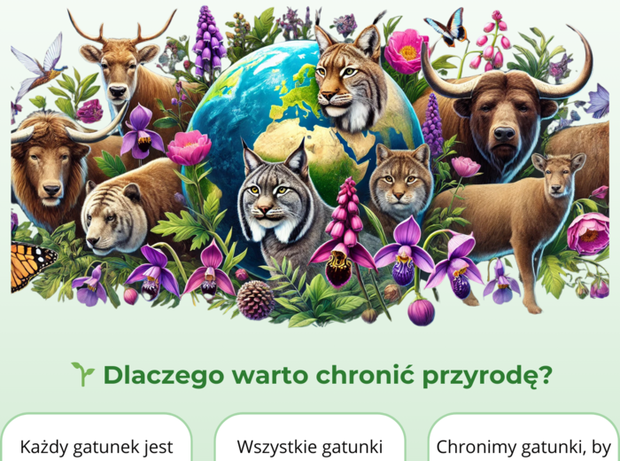 Infografiki. Zagrożone zwierzęta i rośliny. Segregacja odpadów. Oszczędzanie zasobów naturalnych.
