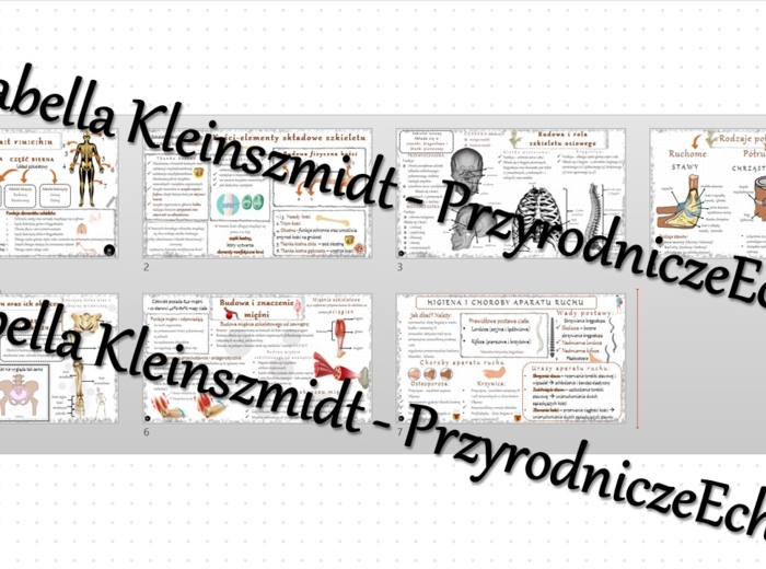 Zestaw sketchnotek – notatek do całego działu „Aparat ruchu” wykonanych w power point do edycji. Biologia 7