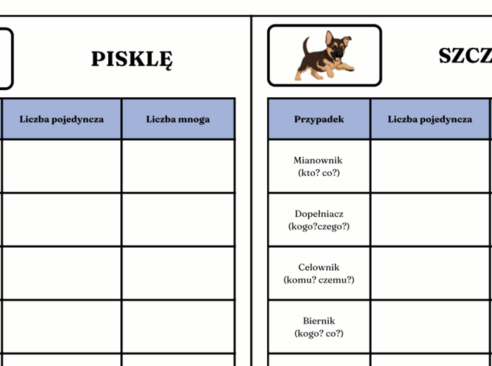 102 rzeczownikI do odmiany przez przypadki – zestaw edukacyjny z obrazkami