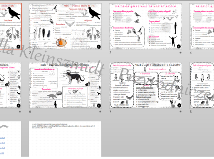 Zestaw sketchnotek i kart pracy + gratisowe linki do prezentacji multimedialnych niekomercyjnych wykonanych w genial.ly do indywidualnego pobrania i użycia do celów niekomercyjnych. Biologia 6, „Kręgowce stałocieplne”