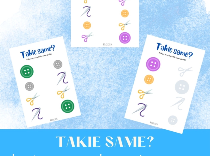 TAKIE SAME? - karta pracy - łączenie w pary, łączenie grafik z cieniem