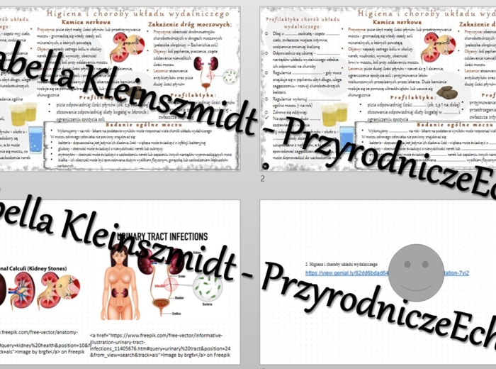 Minizestaw na temat „Higiena i choroby układu wydalniczego” – sketchnotka + karta pracy w power point + gratisowy link do prezentacji multimedialnej niekomercyjnej wykonanej w genial.ly do indywidualnego pobrania i użycia do celów niekomercyjnych. Biolog