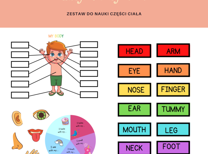 My body set - zestaw do nauki części ciała, organów oraz 5 zmysłów, CLIL