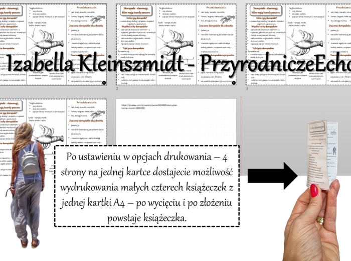 Broszurka/notatka/sketchnotka/wklejka/ściąga dla ucznia/przypomnienie dla nauczyciela w pdf. Biologia 6 „Stawonogi i mięczaki” – „Skorupiaki-stawonogi, które mają twardy pancerz”.