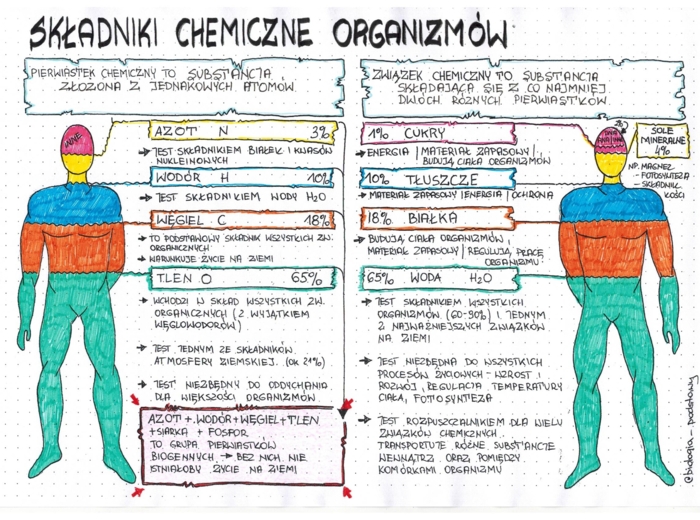 Klasa 5 - Składniki chemiczne organizmów - kolorowa sketchnotka