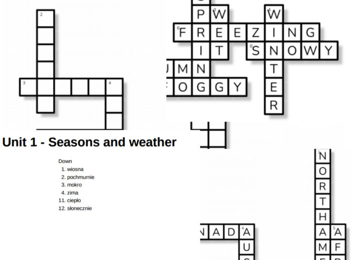 Brainy 5 – Unit 1 – krzyżówki – Countries and continents/Seasons and weather