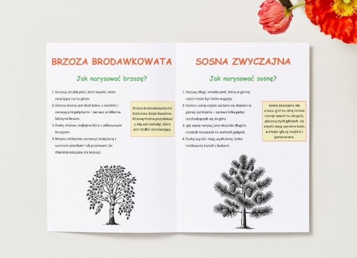 Kolorowanki z roślinami i zwierzętami. Gatunki ptaków, ssaków i drzew