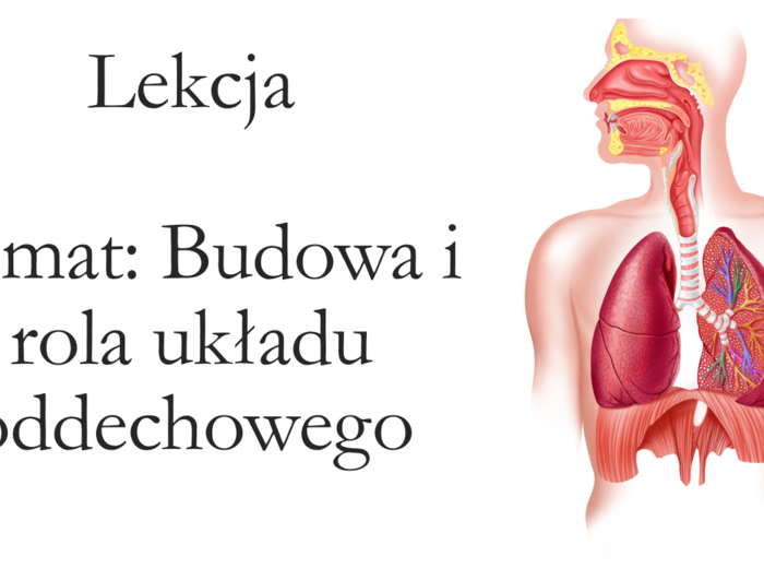 Budowa układu oddechowego - prezentacja