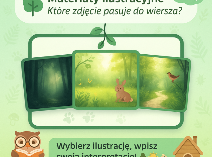 Materiały ilustracyjne – „Które zdjęcie pasuje do wiersza?”. Zdjęcia lasów/ścieżki