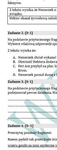 PRÓBNY EGZAMIN Z JĘZYKA POLSKIEGO JUŻ DLA SZÓSTOKLASISTY - CHŁOPCY Z PLACU BRONI