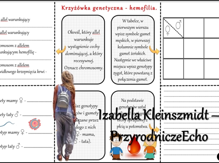 Notatka okienkowa/stacja zadaniowe/notatka/notatka graficzna/karta pracy/sketchnotka „Dziedziczenie płci u człowieka”, „Daltonizm - krzyżówki genetyczne”, „Hemofilia - krzyżówki genetyczne” , „Jak zapisać krzyżówkę genetyczną?” w pdf. Biologia 8 dział „G