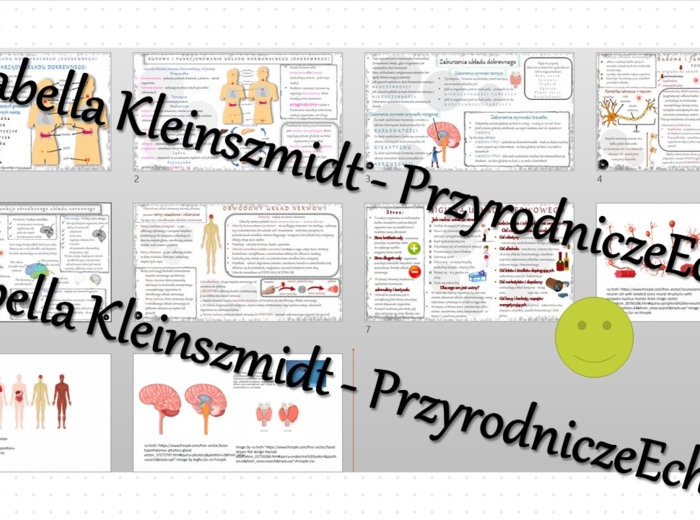 Zestaw sketchnotek – notatek do całego działu „Regulacja nerwowo-hormonalna” wykonanych w power point do edycji. Biologia 7