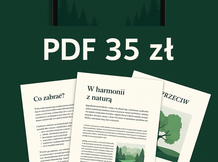 E-book „Ścieżki w lesie wiedzy”