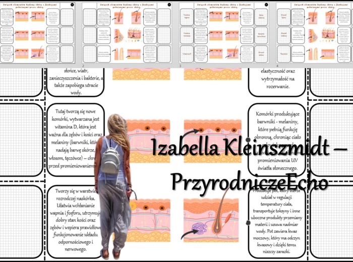 Duży komplet/zestaw notatek/sketchnotek/notatek okienkowych/interaktywnych notatek/stacji zadaniowych/wklejek do działu „ORGANIZM CZŁOWIEKA. SKÓRA - POWŁOKA ORGANIZMU. Wszystko w pdf. Biologia 7, dział Nowość 2024/2025. Notatki dostosowanie do nowej pods