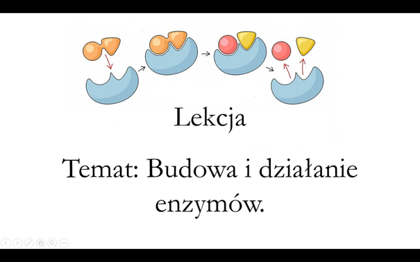 Klasa 1 (rozszerzenie) - Budowa i działanie enzymów - prezentacja