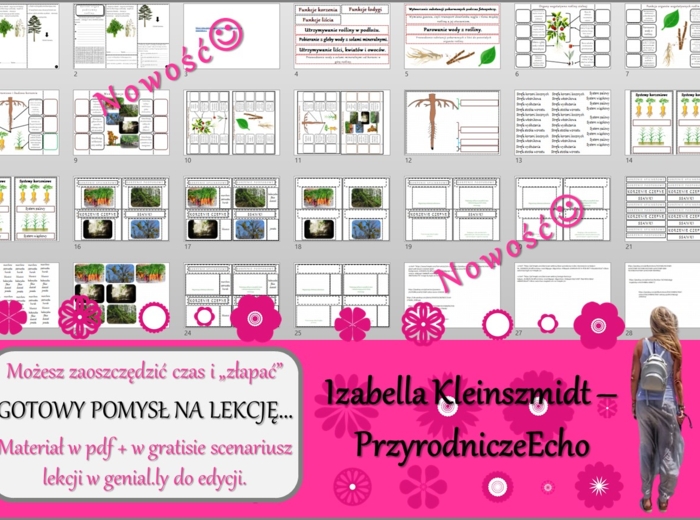 Pomysł na lekcję/karta pracy/stacje zadaniowe/materiał do lekcji do tematu „Korzeń – organ podziemny rośliny” w pdf. W gratisie niekomercyjny scenariusz lekcji/pomysł na lekcję w programie genial.ly do edycji. Biologia 5. Dział „Tkanki i organy roślinne”