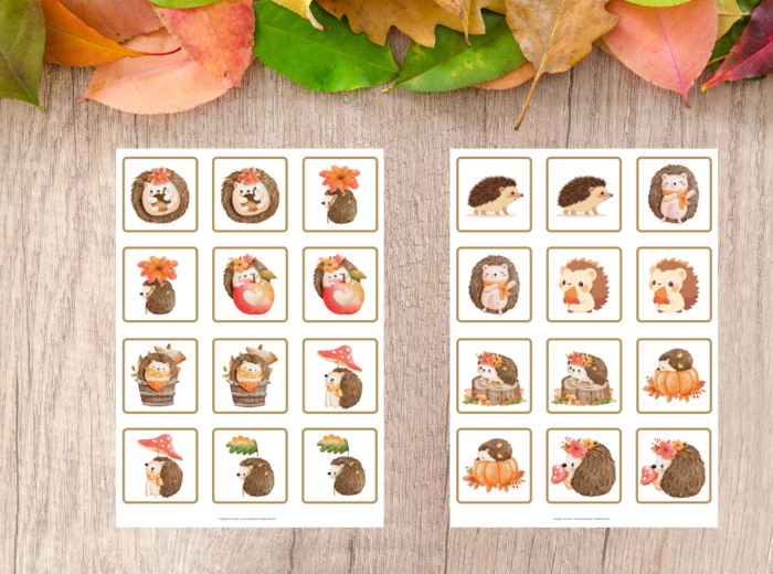 Darmowe - memory jeże