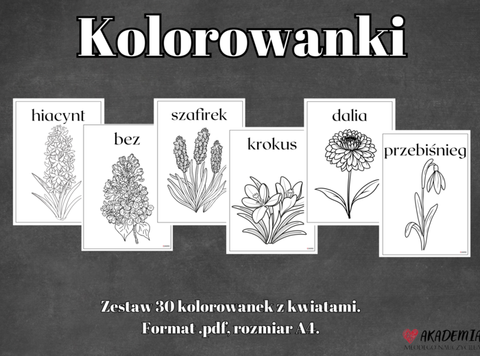Zestaw kolorowanek