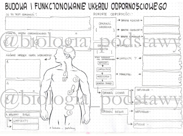 Klasa 7 - Układ odpornościowy - karta pracy