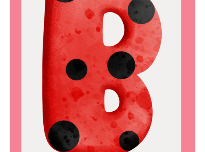 GRUPA BIEDRONECZKI / BIEDRONKI