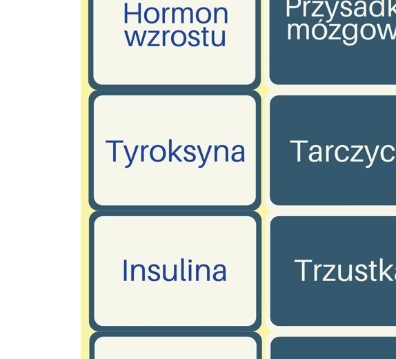 Memory: Gruczoły i hormony
