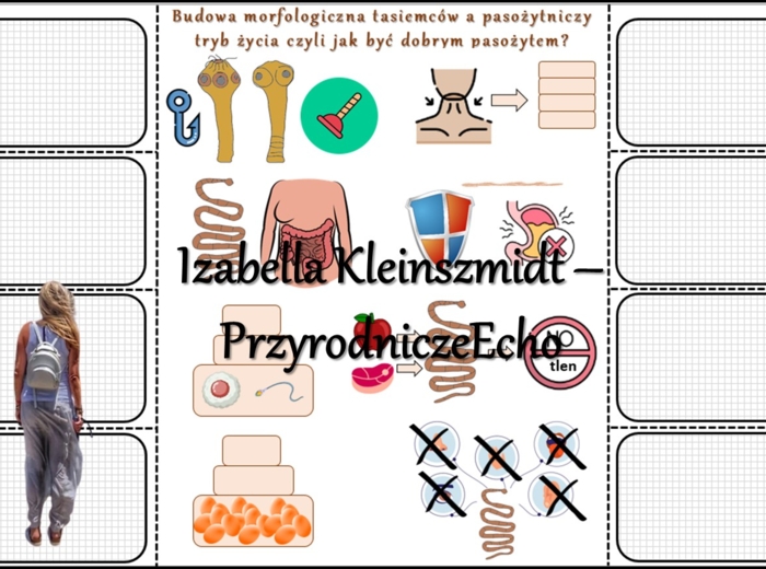 Notatka okienkowa/stacja zadaniowe/notatka interaktywna/notatka graficzna/karta pracy/sketchnotka „Płazińce”, „Płazińce - zwierzęta, które mają płaskie ciała” w pdf. Biologia 6 , dział „Od parzydełkowców do pierścienic”. Materiał wykonany na podstawie po