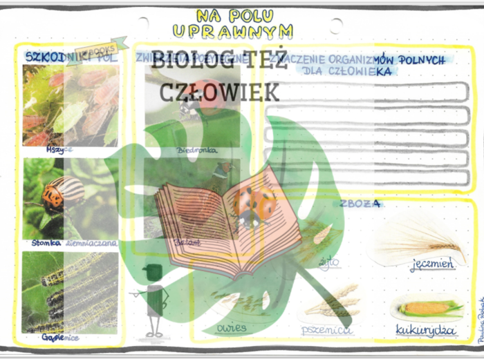 Na polu uprawnym - kolor