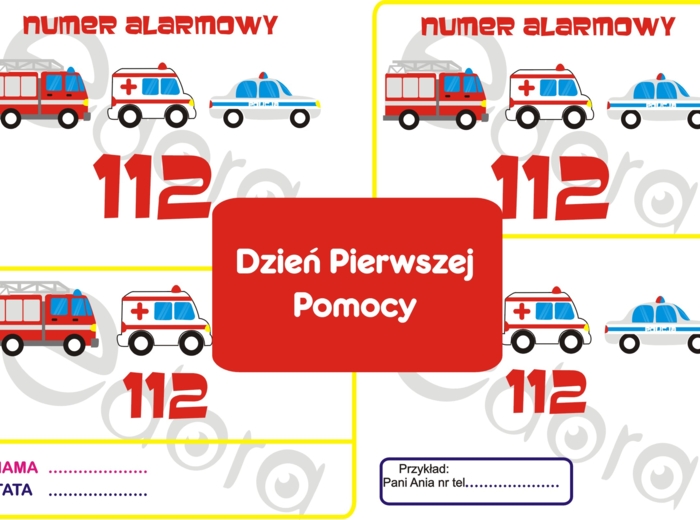 Dzień Pierwszej Pomocy