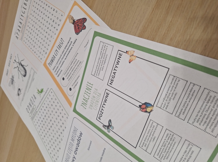 Owady - nowoczesna karta pracy