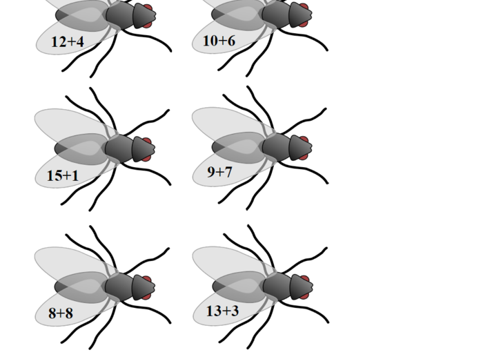 Matematyczne polowanie na muchy – gra matematyczna