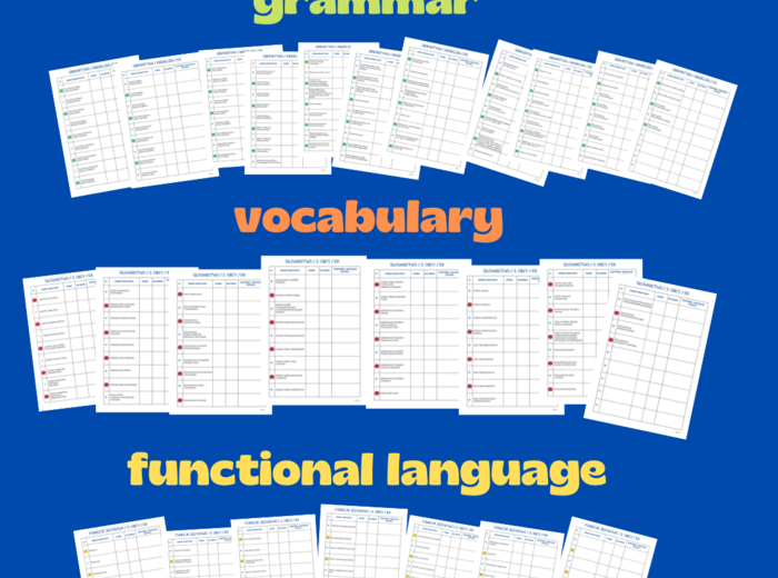 MY E8 CHECKLIST: GRAMMAR, VOCABULARY AND FUNCTIONAL LANGUAGE