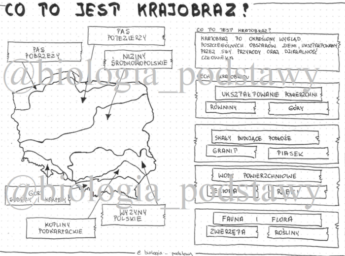 Klasa 5 - Co to jest krajobraz? - sketchnotka