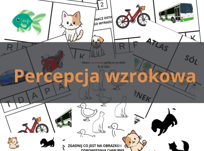 Karty Pracy na Percepcję Wzrokową - nauka liter, nauka czytania, matematyka