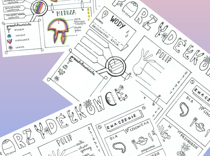 Parzydełkowce - klasa 6