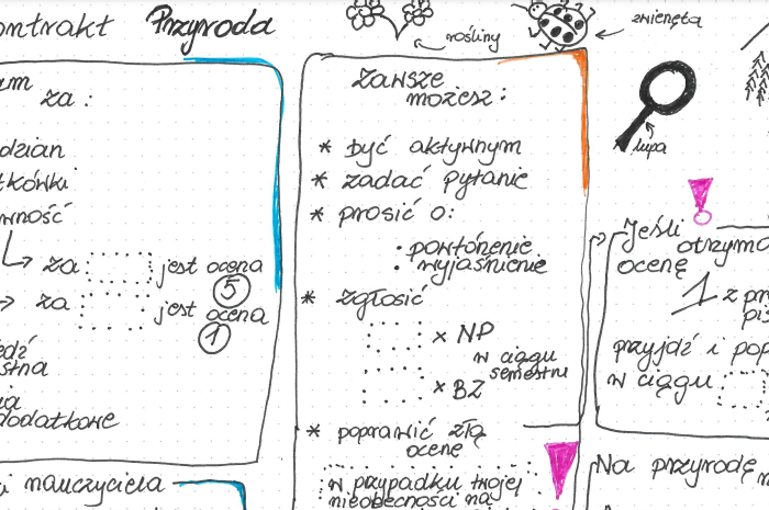 Kontrakt Przyroda. Lekcja organizacyjna.