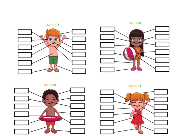 My body set - zestaw do nauki części ciała, organów oraz 5 zmysłów, CLIL