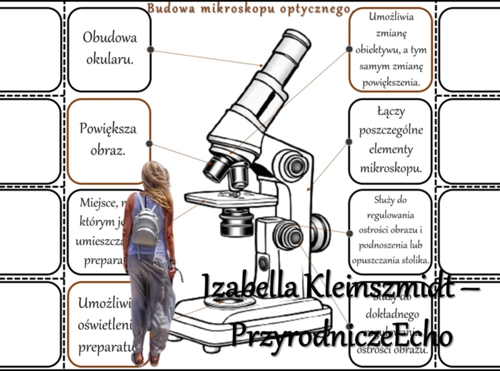 Notatka okienkowa/stacja zadaniowe/notatka/notatka graficzna/karta pracy/sketchnotka „Budowa mikroskopu”, „Obserwacje mikroskopowe” w pdf. Biologia 5 dział „Biologia – nauka o życiu”. Materiał wykonany na podstawie podręcznika z wydawnictwa Nowa Era – no