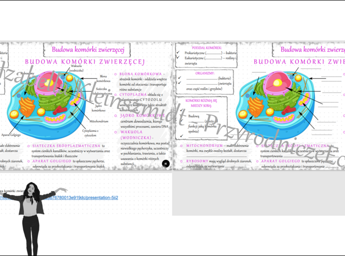 Mini zestaw do tematu „Budowa komórki zwierzęcej” - sketchnotka + karta pracy + gratisowy link do prezentacji multimedialnej niekomercyjnej wykonanej w genial.ly do indywidualnego pobrania i użycia do celów niekomercyjnych. Biologia klasa 5, dział II „. 