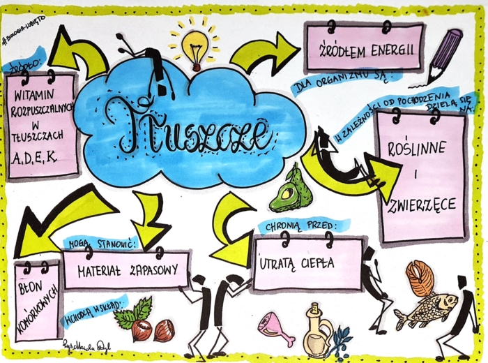 Klasa 7. Biologia. Tłuszcze (dwie karty pracy: kolorowa + do uzupełnienia)
