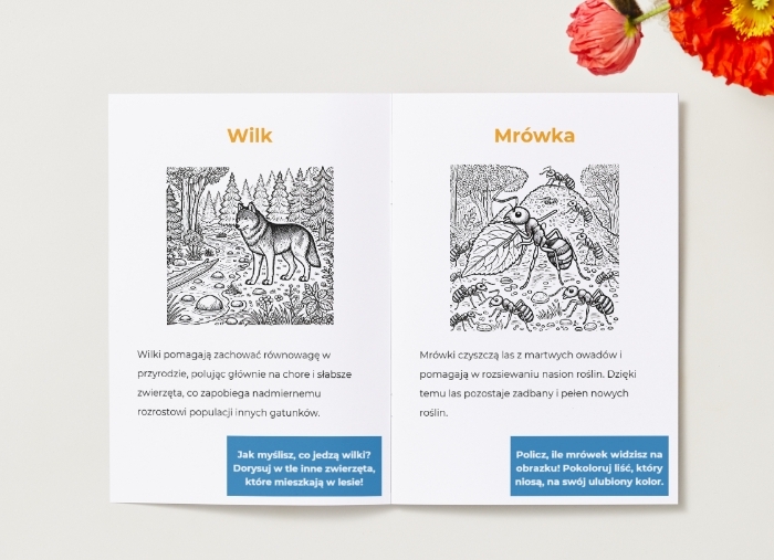 Kolorowanki z elementami edukacyjnymi. Zwierzęta. Ciekawostki. Rola zwierząt w ekosystemie