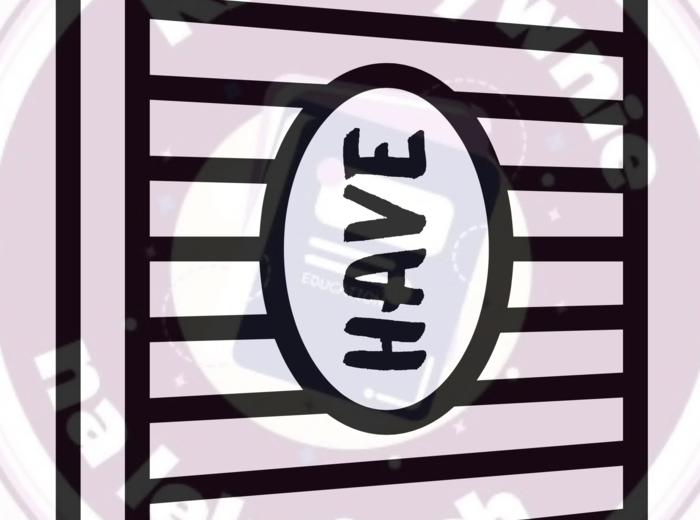 Have/ Has - dopasowywanie