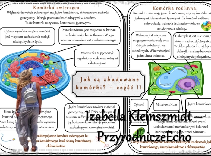 Sketchnotki/notatka/streszczenia/wklejki/ściągi dla ucznia i nauczyciela. Temat „Jak są zbudowane komórki?” w pdf. Biologia 5 dział „Organizacja i chemizacja życia”. Wykonana na podstawie podręcznika z wydawnictwa WSiP.