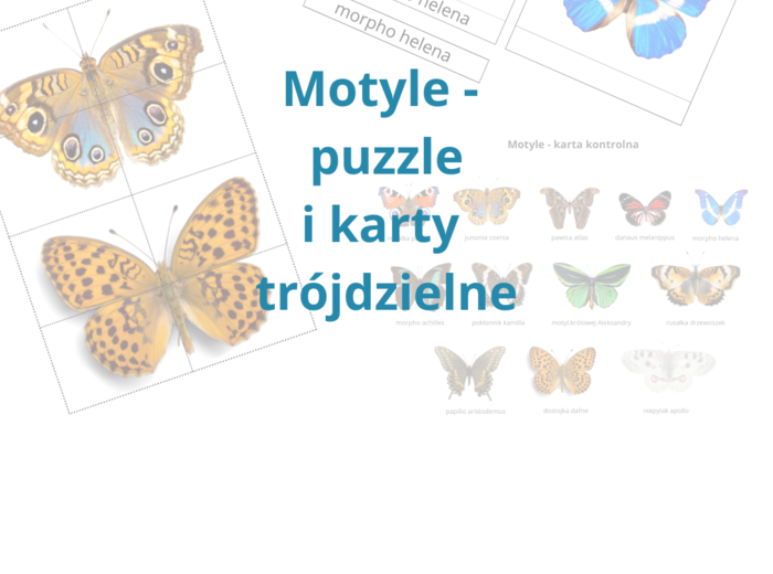 Motyle - puzzle, układanka, karty trójdzielne