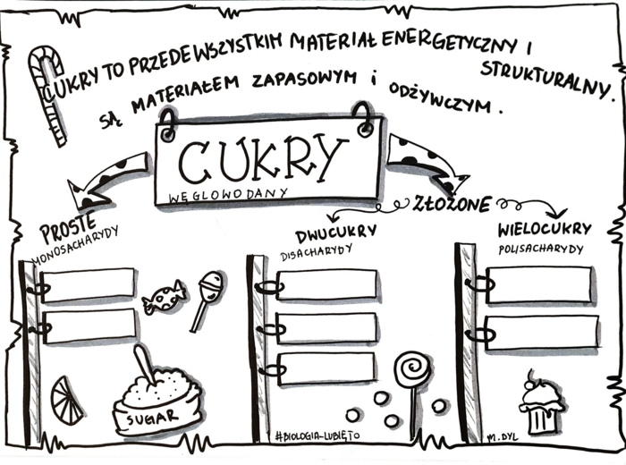 Klasa 7. Biologia. Cukry (dwie karty pracy: kolorowa + do uzupełnienia)