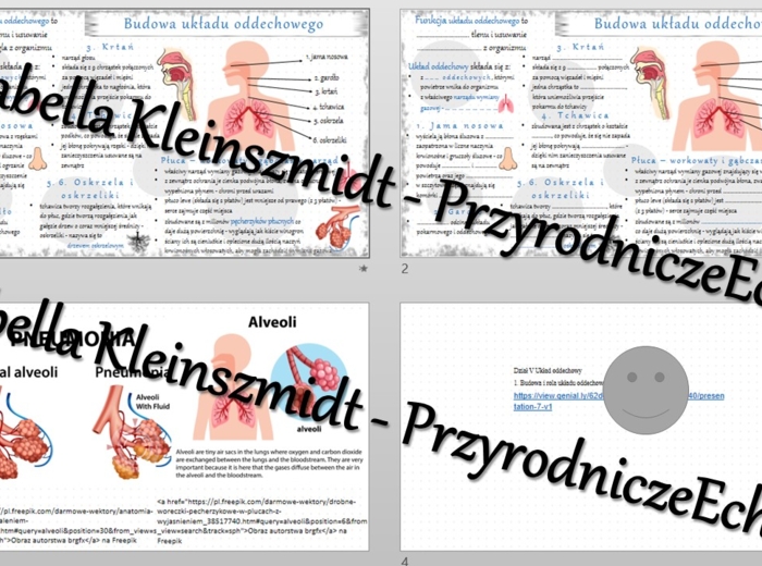 Minizestaw na temat „Budowa i rola układu oddechowego” – sketchnotka + karta pracy w power point + gratisowy link do prezentacji multimedialnej niekomercyjnej wykonanej w genial.ly do indywidualnego pobrania i użycia do celów niekomercyjnych. Biologia 7,